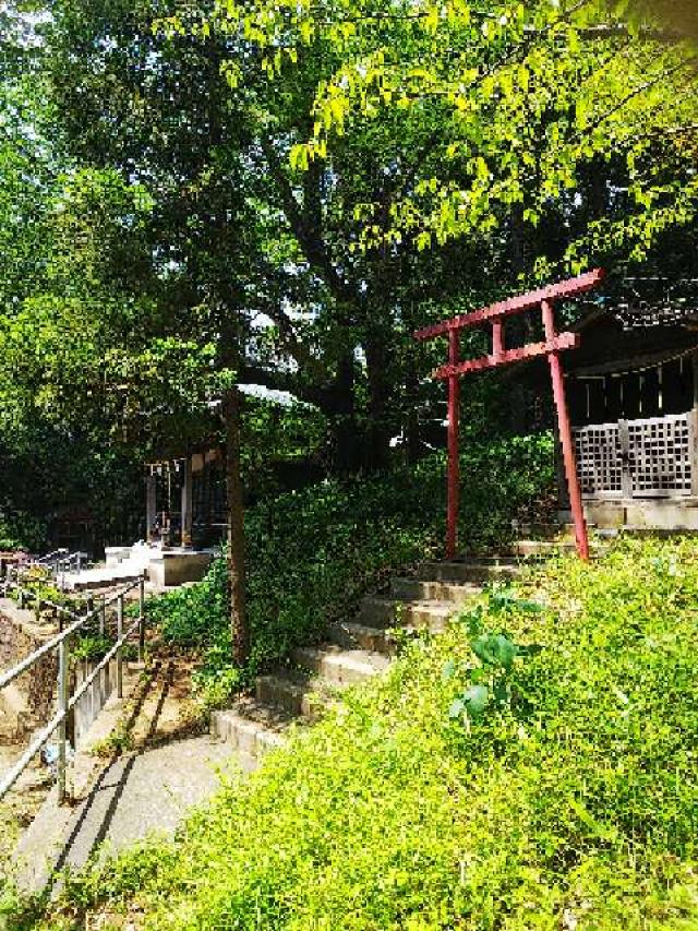 神奈川県横浜市緑区西八朔町208 杉山神社(武蔵國六之宮)の写真109