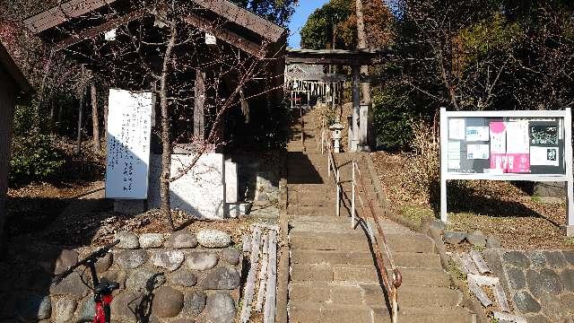 杉山神社(武蔵國六之宮)の参拝記録9