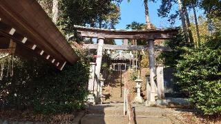 杉山神社(武蔵國六之宮)の参拝記録(猫狂さん)
