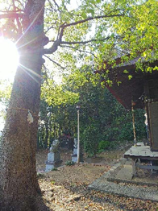 神奈川県横浜市緑区小山町351 日枝神社の写真46
