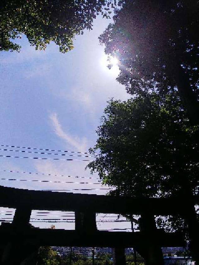 神奈川県横浜市緑区小山町351 日枝神社の写真55