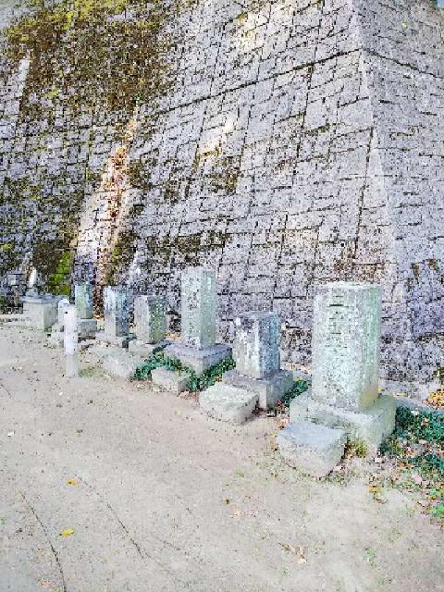 神奈川県横浜市緑区北八朔町1266 十二神社の写真8