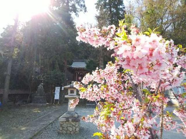 十二神社の参拝記録4