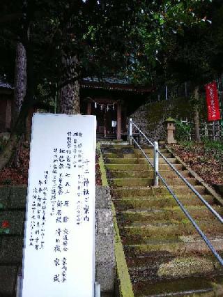 十二神社の参拝記録(またたびさん)