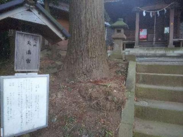神奈川県横浜市緑区北八朔町1266十二神社 北八朔八幡宮の写真29