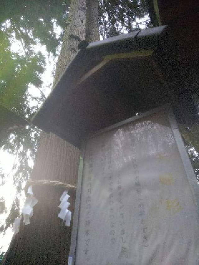 神奈川県横浜市緑区北八朔町1266十二神社 北八朔八幡宮の写真30