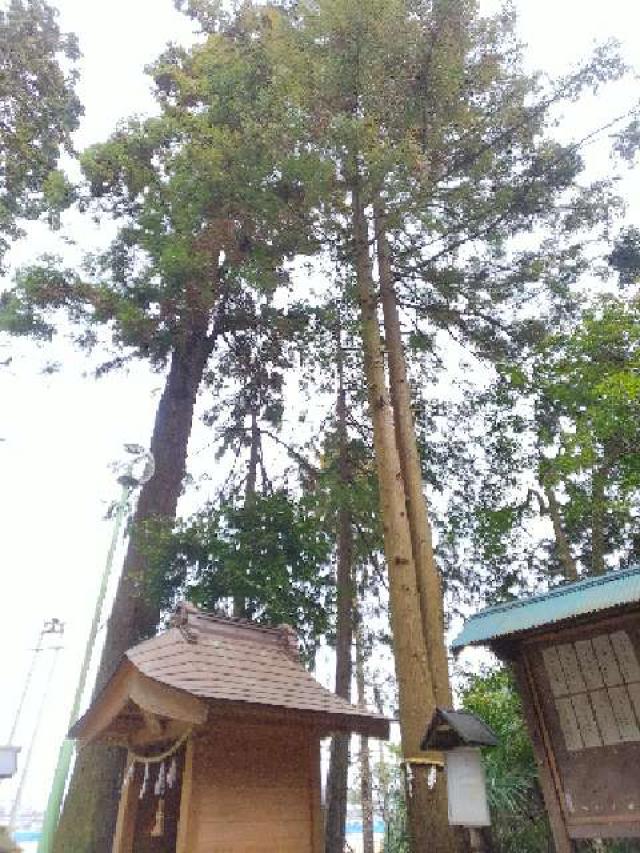 神奈川県横浜市緑区北八朔町1266十二神社 北八朔八幡宮の写真47