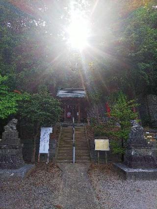 北八朔八幡宮の参拝記録(またたびさん)