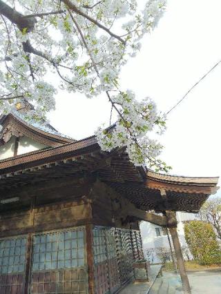 日向山神社の参拝記録(またたびさん)
