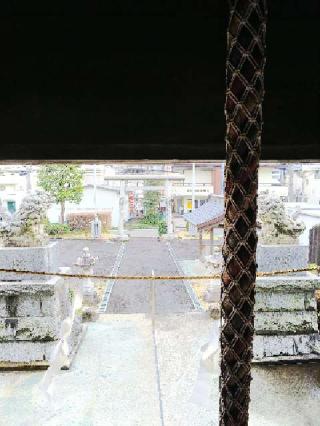 日向山神社の参拝記録(またたびさん)