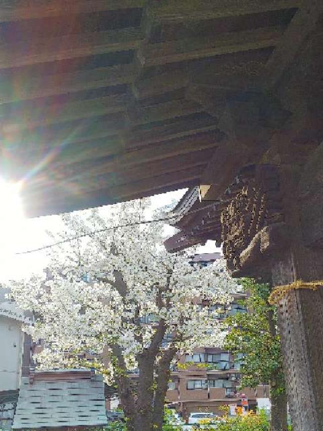 日向山神社の参拝記録8