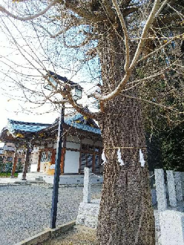 神奈川県横浜市緑区三保町2079 杉山神社の写真12