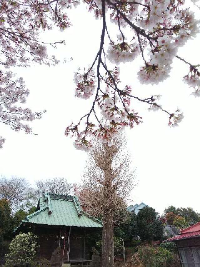 神奈川県横浜市緑区台村町563 八幡神社の写真22