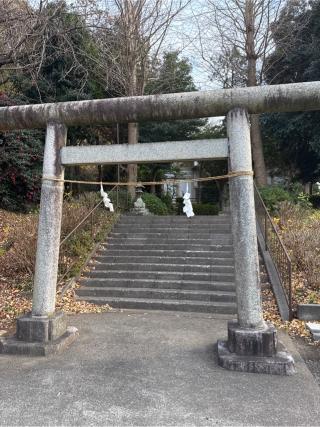 白山神社の参拝記録(⛩️🐍🐢まめ🐢🐍⛩️さん)