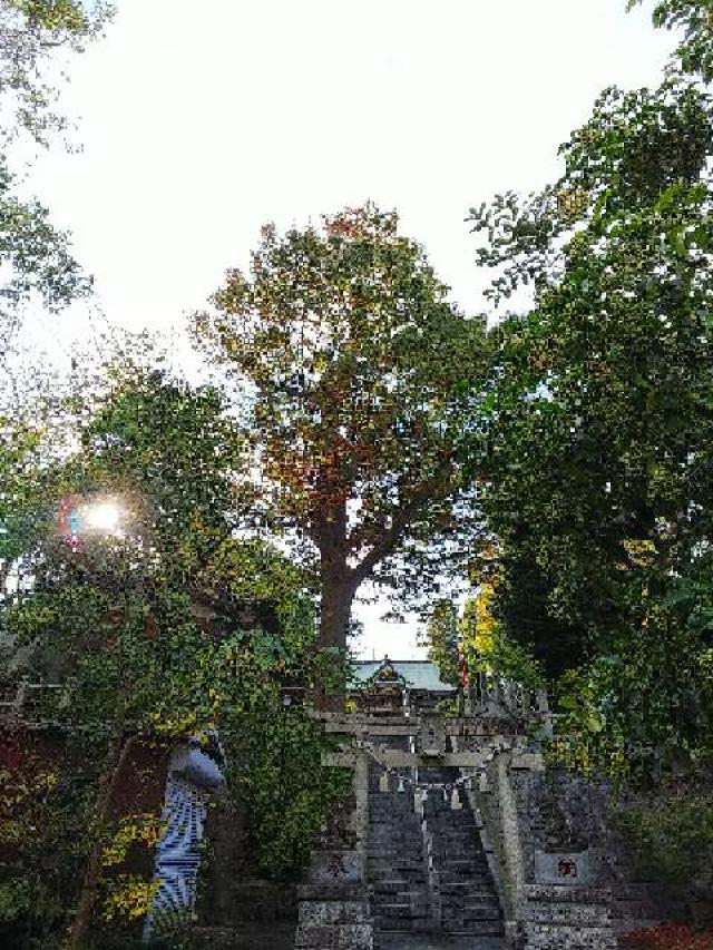 神奈川県横浜市青葉区千草台17ｰ2 千草台 杉山神社の写真2