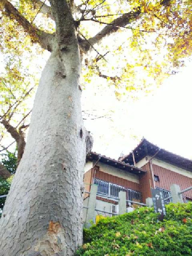 神奈川県横浜市青葉区千草台17ｰ2 千草台 杉山神社の写真6