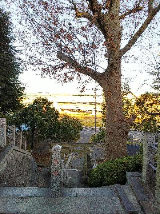 神奈川県横浜市青葉区千草台17ｰ2 千草台 杉山神社の写真31