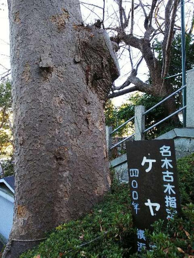 神奈川県横浜市青葉区千草台17ｰ2 千草台 杉山神社の写真38