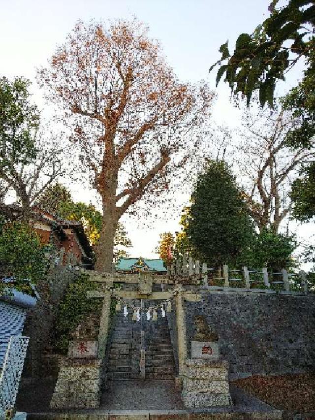 神奈川県横浜市青葉区千草台17ｰ2 千草台 杉山神社の写真43