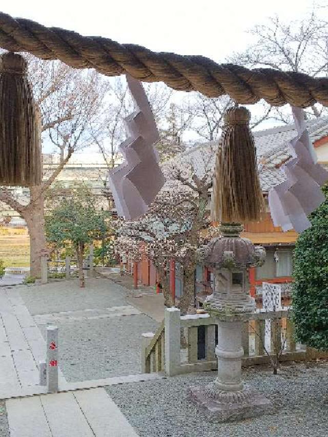 神奈川県横浜市青葉区千草台17ｰ2 千草台 杉山神社の写真48