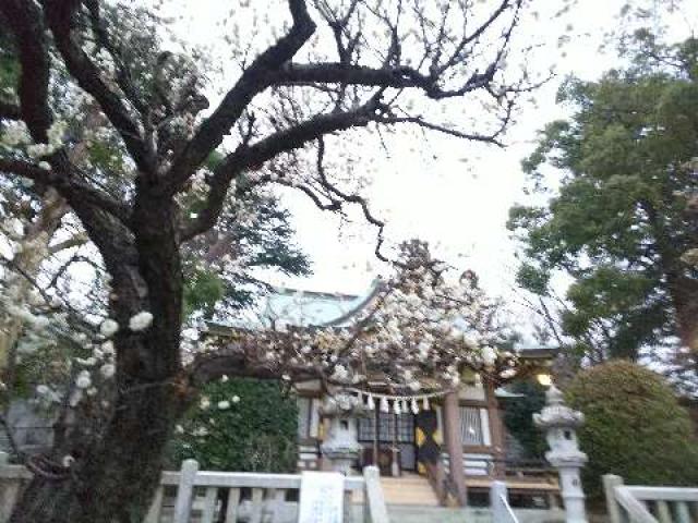 神奈川県横浜市青葉区千草台17ｰ2 千草台 杉山神社の写真59