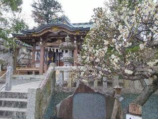 千草台 杉山神社の参拝記録(またたびさん)