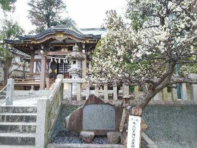 神奈川県横浜市青葉区千草台17ｰ2 千草台 杉山神社の写真64