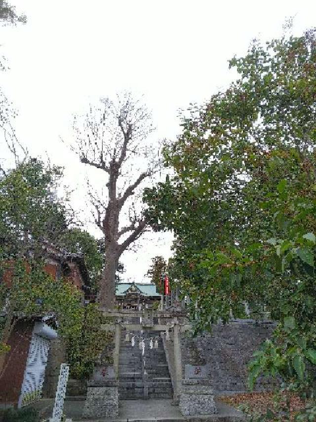 神奈川県横浜市青葉区千草台17ｰ2 千草台 杉山神社の写真66