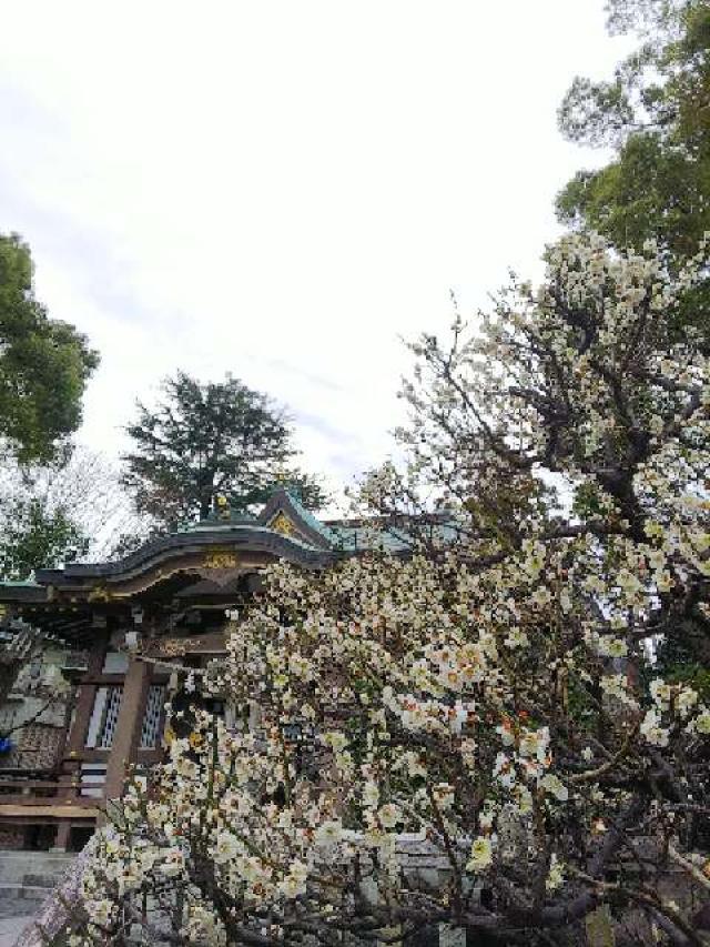 神奈川県横浜市青葉区千草台17ｰ2 千草台 杉山神社の写真69