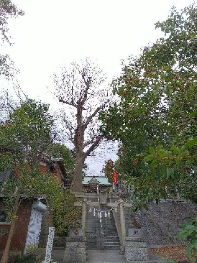 神奈川県横浜市青葉区千草台17ｰ2 千草台 杉山神社の写真70