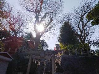 千草台 杉山神社の参拝記録(またたびさん)