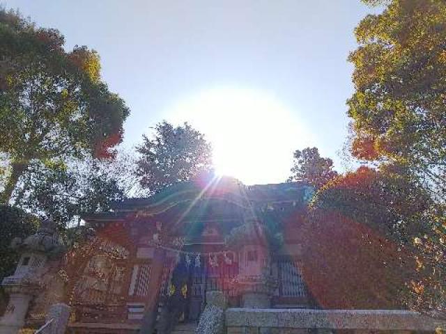 神奈川県横浜市青葉区千草台17ｰ2 千草台 杉山神社の写真71