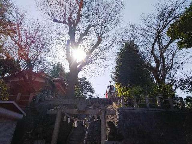 神奈川県横浜市青葉区千草台17ｰ2 千草台 杉山神社の写真78