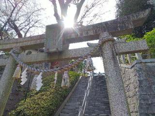 千草台 杉山神社の参拝記録(またたびさん)