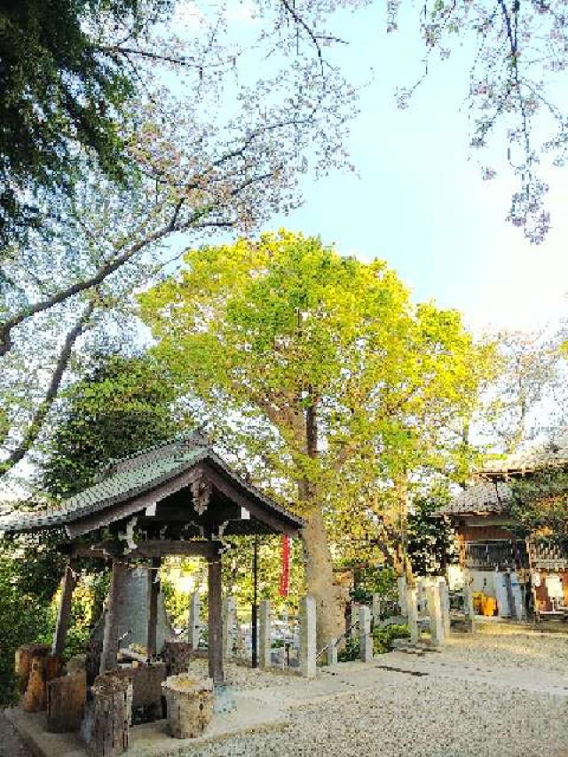 神奈川県横浜市青葉区千草台17ｰ2 千草台 杉山神社の写真83