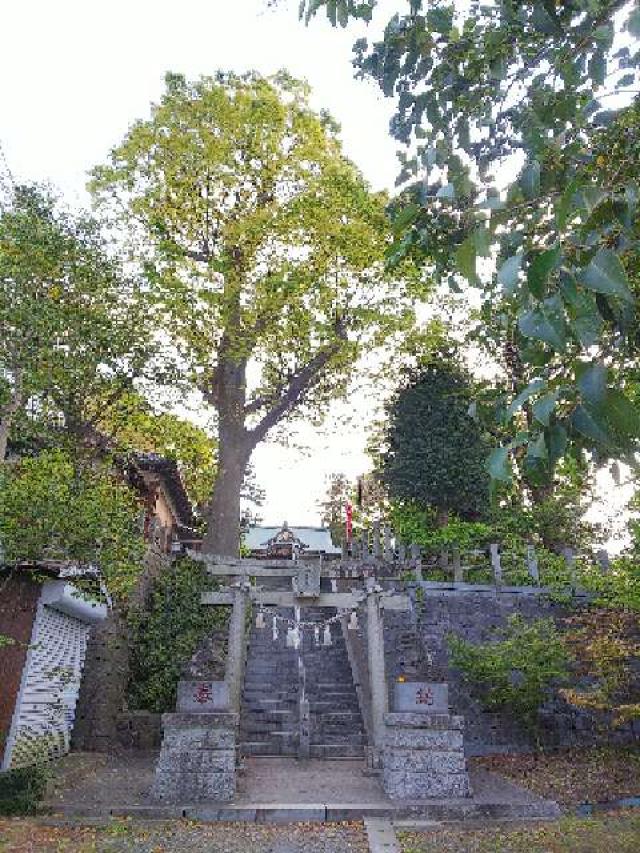 神奈川県横浜市青葉区千草台17ｰ2 千草台 杉山神社の写真87