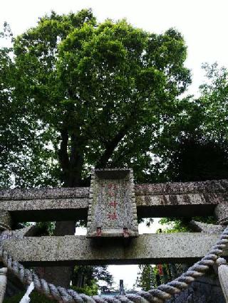 千草台 杉山神社の参拝記録(またたびさん)