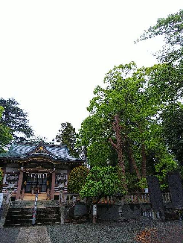 神奈川県横浜市青葉区千草台17ｰ2 千草台 杉山神社の写真89