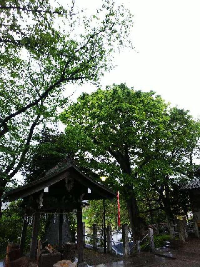 神奈川県横浜市青葉区千草台17ｰ2 千草台 杉山神社の写真94