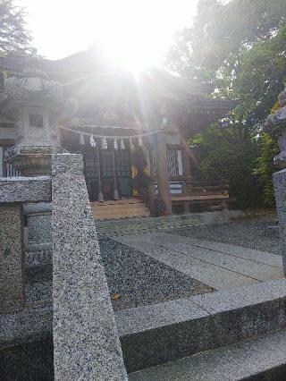 千草台 杉山神社の参拝記録(またたびさん)