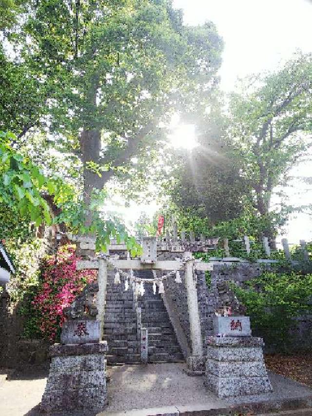 神奈川県横浜市青葉区千草台17ｰ2 千草台 杉山神社の写真101