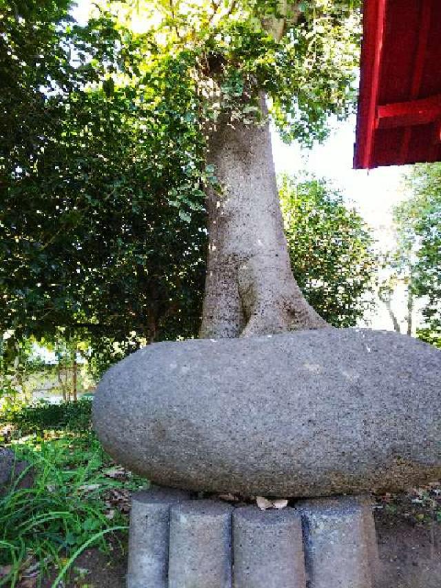 神奈川県横浜市青葉区市ｹ尾町641杉山神社 稲荷社の写真5