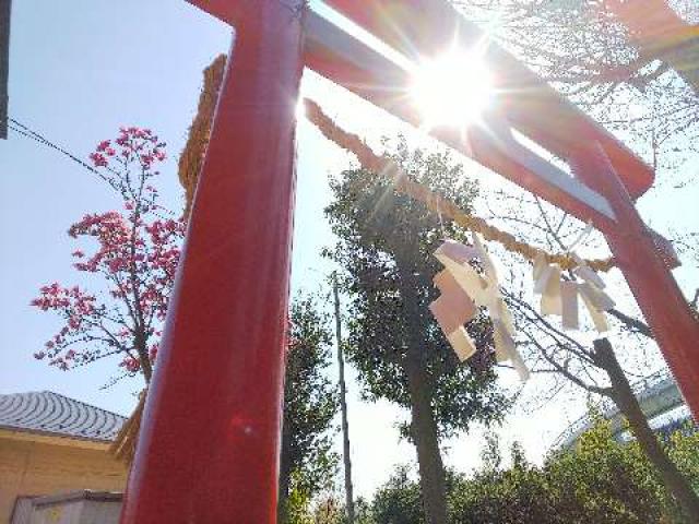 神奈川県横浜市青葉区市ｹ尾町641杉山神社 稲荷社の写真28