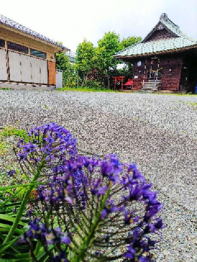 神奈川県横浜市青葉区市ｹ尾町641杉山神社 稲荷社の写真36