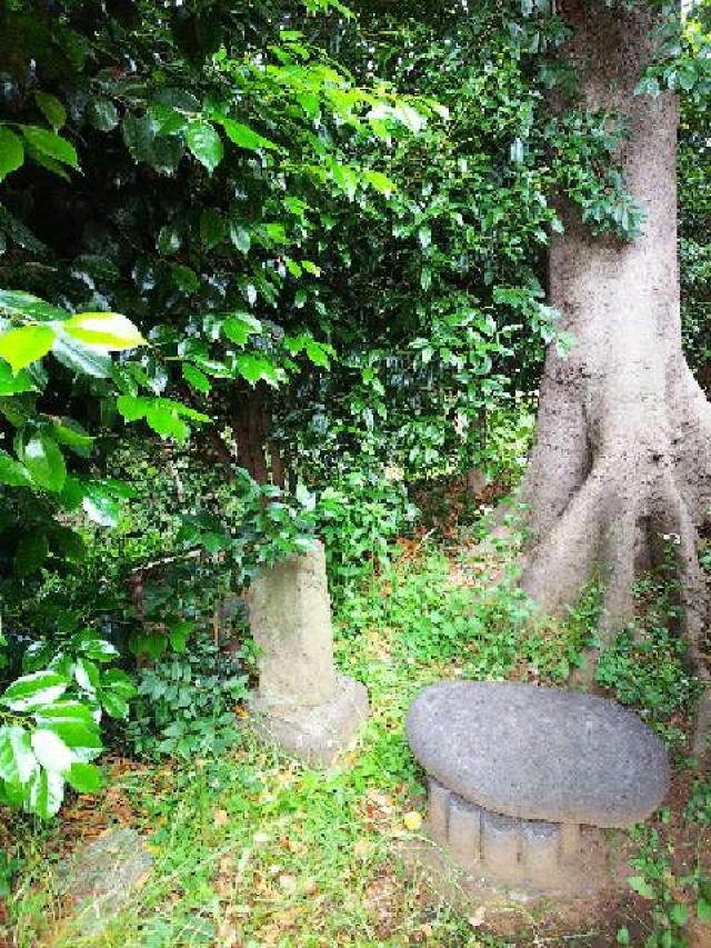 神奈川県横浜市青葉区市ｹ尾町641杉山神社 稲荷社の写真39