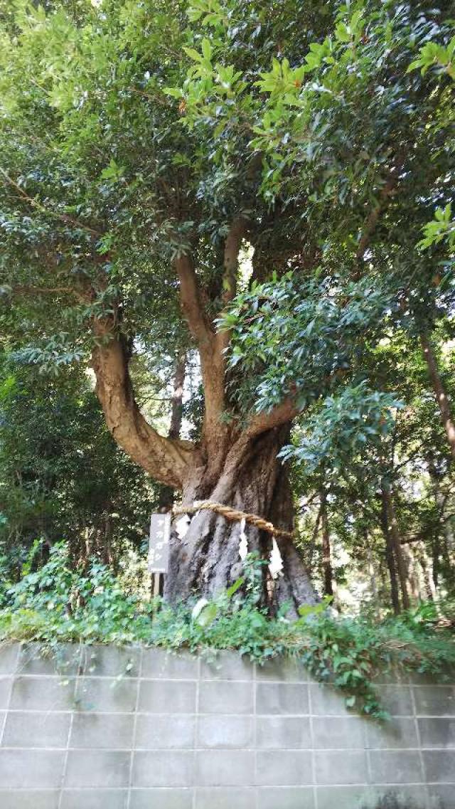 神奈川県横浜市青葉区鉄町1553 鐵神社の写真14