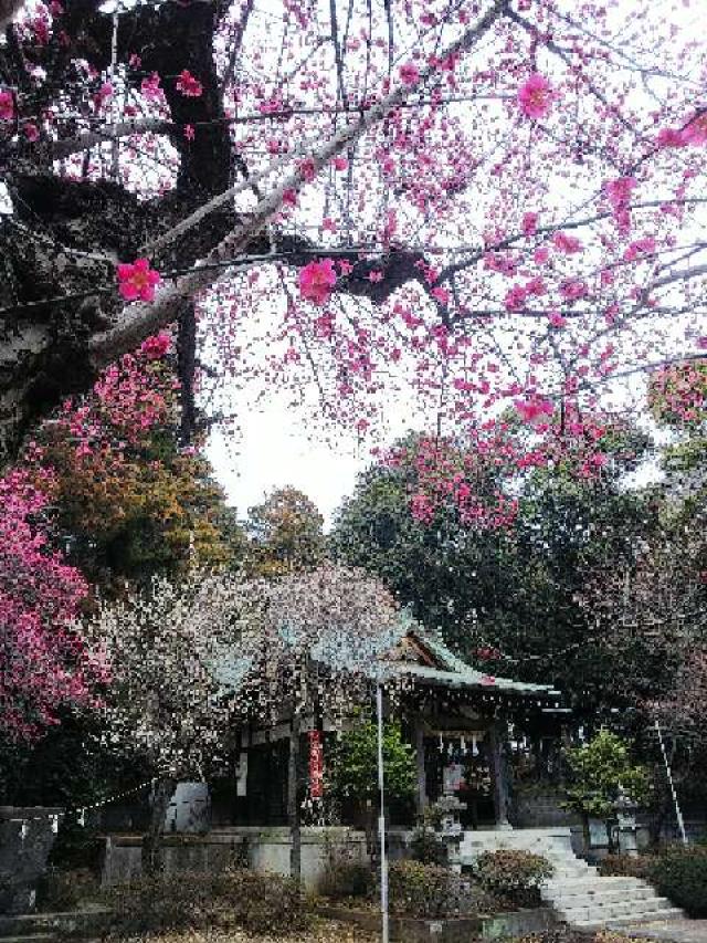 神奈川県横浜市青葉区鉄町1553 鐵神社の写真29