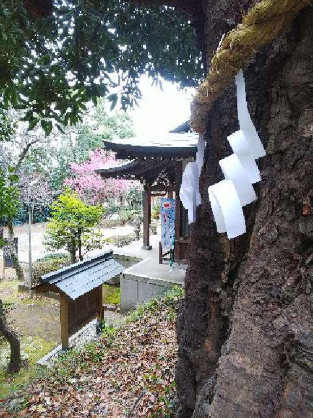 神奈川県横浜市青葉区鉄町1553 鐵神社の写真30