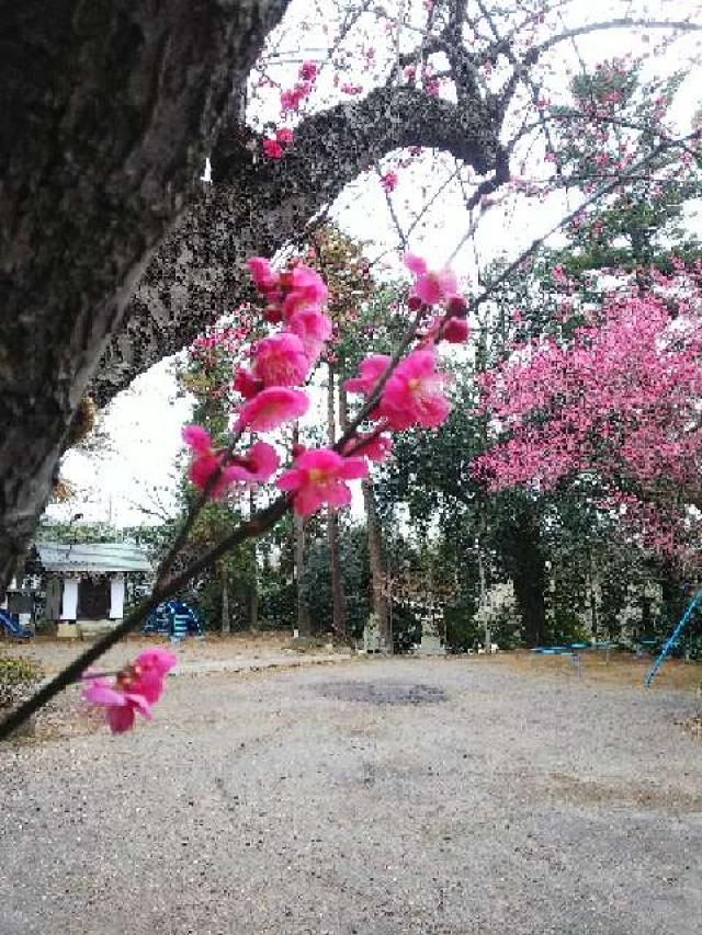 神奈川県横浜市青葉区鉄町1553 鐵神社の写真31