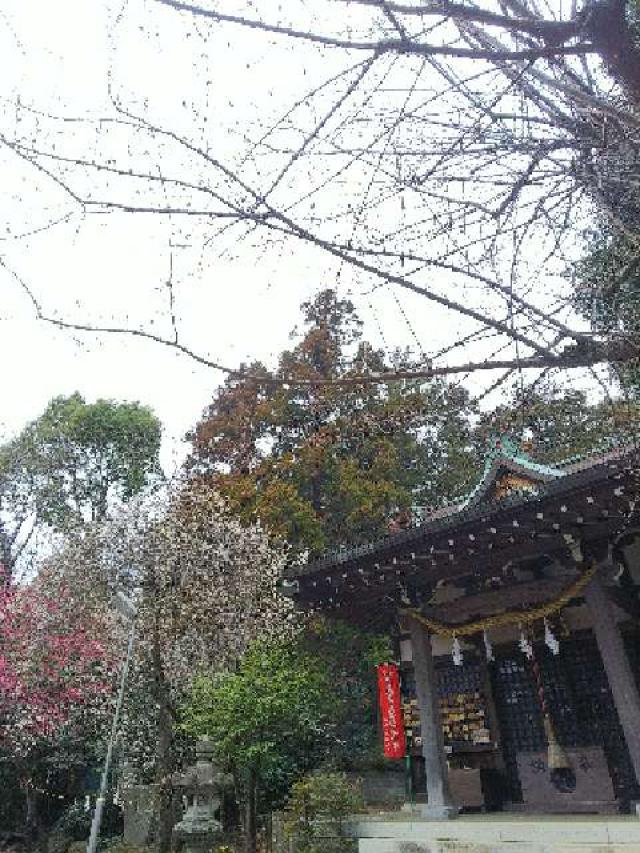 神奈川県横浜市青葉区鉄町1553 鐵神社の写真32